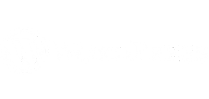 WordPress – Website and content management system integrated with FirmOS for seamless site automation and digital presence optimization.
